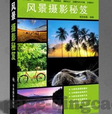 果冻传媒羞答答-探索果冻传媒的羞答答现象，文化与商业的微妙交织