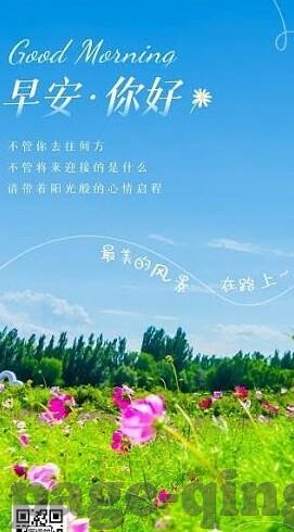 麻豆视传媒免费版-麻豆视传媒，探索免费版视频的色彩与魅力