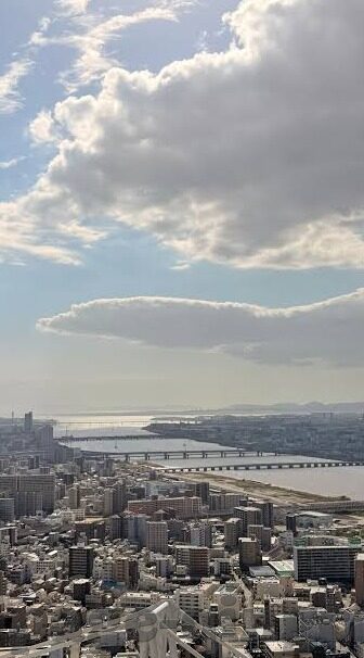 妈妈的朋友中文字幕高清完整版在线观看-妈妈的朋友，一段细腻情感的温馨呈现