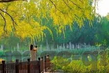 熟女 人妻-熟女人妻，生活中的多重角色与情感平衡