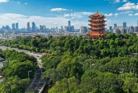 糖心app免费下载骯pi在线下载-探索数字时代下的内容寻求，在信息繁杂的网络中找寻真正所需