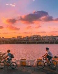 糖心app直播下载不用登录-探寻未触之境，探索糖心平台直播的新兴趣点
