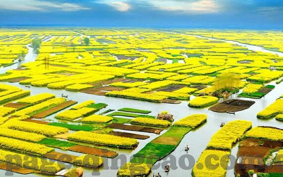 亚洲AV中文日韩二区-亚洲影视文化，多元视角下的日韩中文区探索