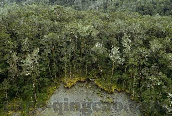 亚洲免费一区二区三区-探索亚洲网络文化的多元视角，一区、二区、三区的文化交融