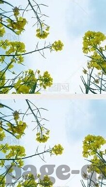 亚洲人妻电影-亚洲人妻电影，文化、社会与性别视角的微妙交织